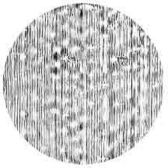 Rosco Standard Steel Gobo #7165 - Cloud 7 - Size M 66mm