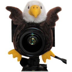 Shutter Huggers Eagle Shutter Hugger