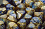 Polyhedral Blue-Gold w/white Tens 10 - PG1122