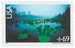Okefenokee Swamp