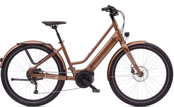 Electra Vale Go! EQ US 2020
