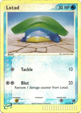 Lotad - 67/100 - Common - Reverse Holo