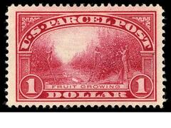 1-dollar Orange Grove