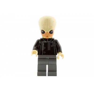 LEGO Bith Musician