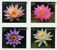 First-Class Forever Stamp - Imperforate Water Lilies