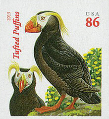 Imperf Tufted Puffins