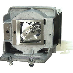 Projector Lamp EPOCH D600