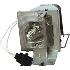 ViewSonic RLC-072 Projector Lamp