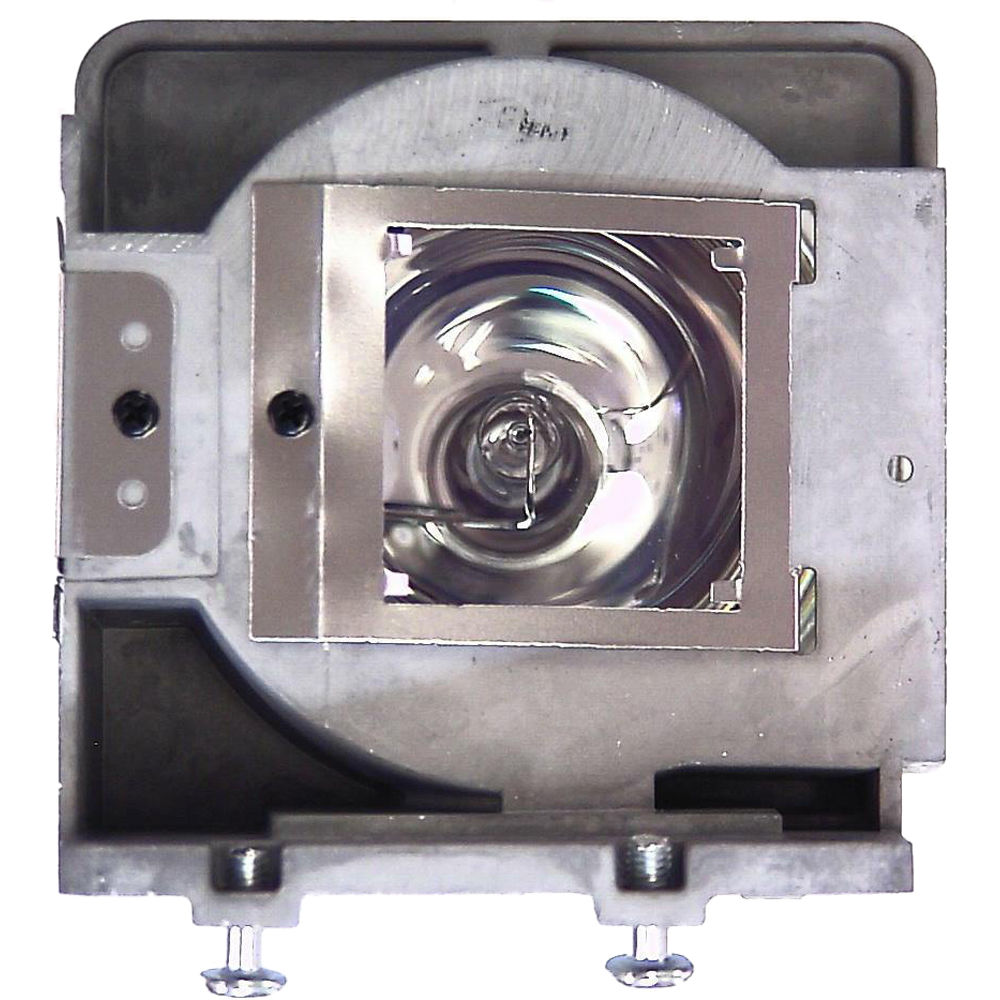 Projector Lamp BL-FU310B