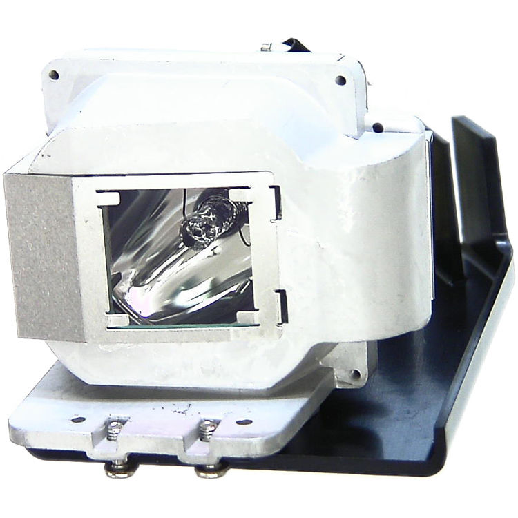 Projector Lamp EC.J9000.001