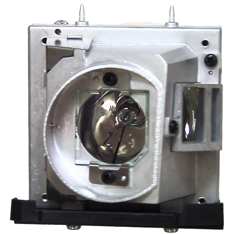 Projector Lamp VT80LP