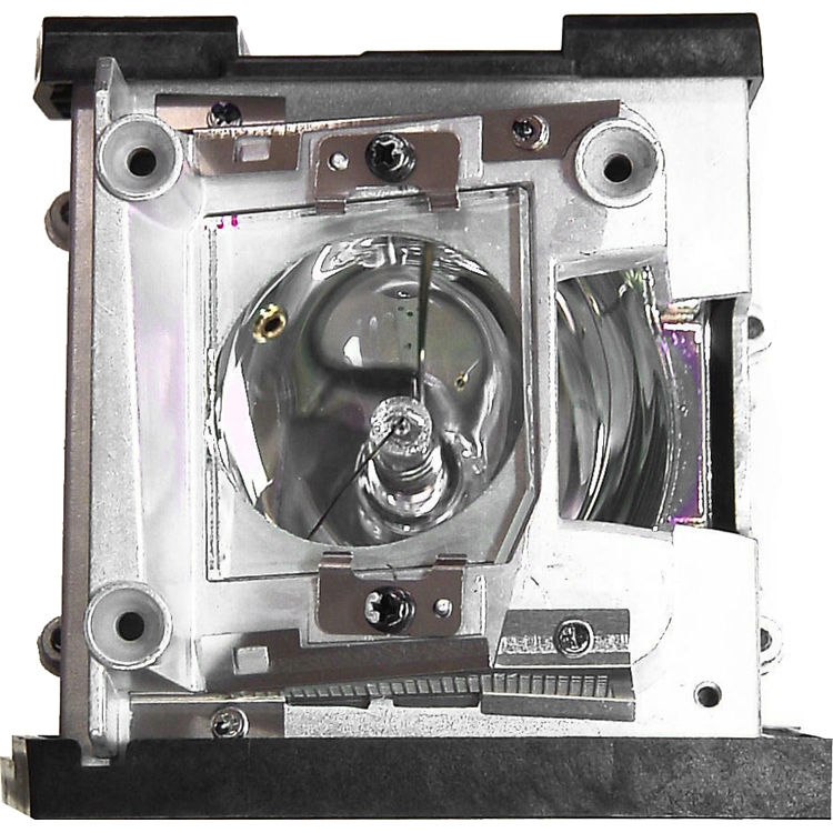 Optoma Technology BL-FP280D Replacement Lamp