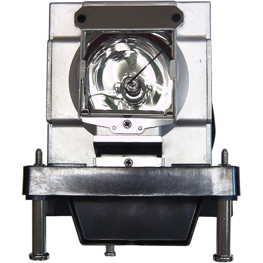 Projector Lamp RLMPF0008CEN1