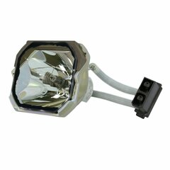 Projector Lamp BQC-PGC30XE/1