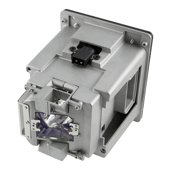 Projector Lamp R9832774