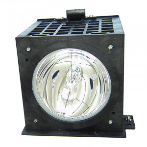 Projector Lamp DDSX-LP-120