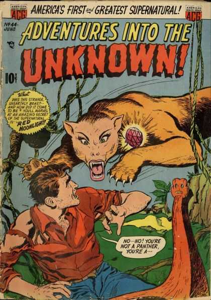 Adventures Into The Unknown Vol. 1 44