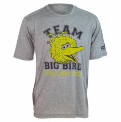 Brainstorm Sesame Street TEAM BIG BIRD 