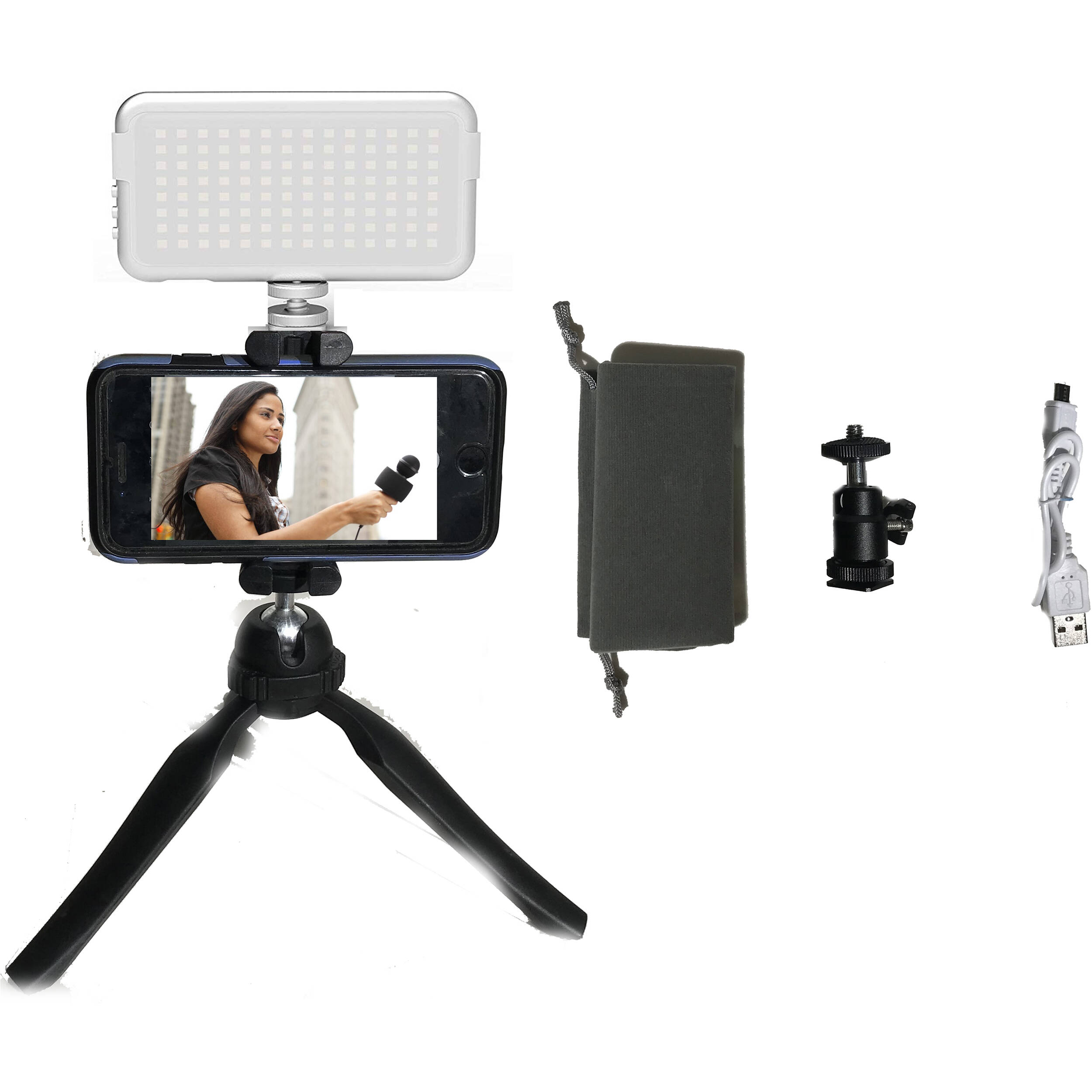 Genaray LED-6800 256 LED Daylight-Balanced On-Camera Light