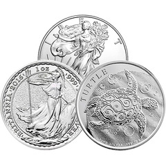 1 oz Silver Coin (Varied Condition, Any Mint)