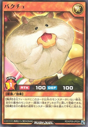 Packrat - Rare