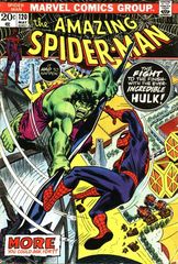 The Amazing Spider Man Vol. 1 120 The Fight And The Fury