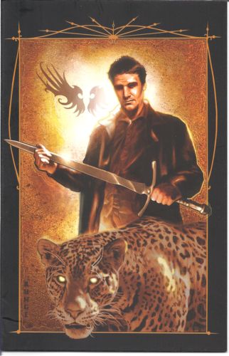 Angel: After The Fall 18 D