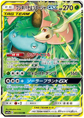 Venusaur & Snivy GX - 001/064 - Ultra Rare