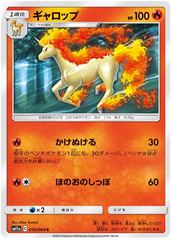 Rapidash - 010/064 - Common