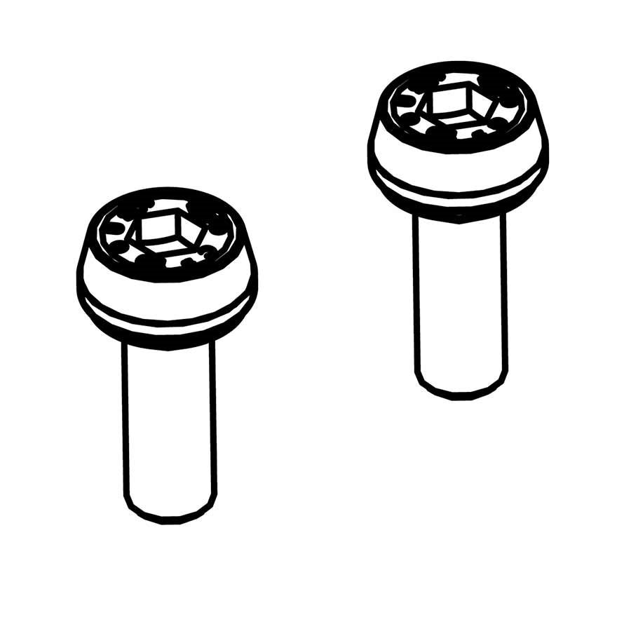Campagnolo Front caliper mounting screws Pair 2019