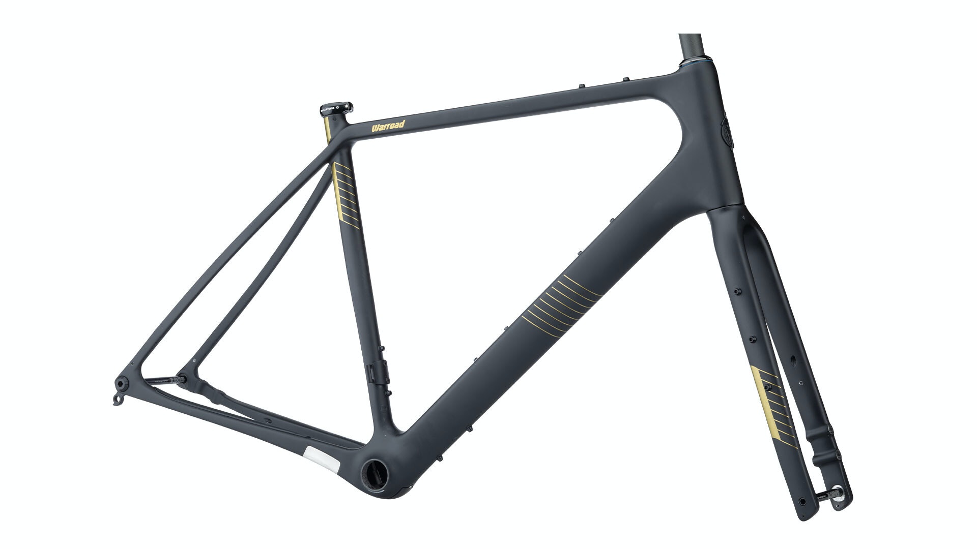 Salsa Warroad Carbon Frameset 2019