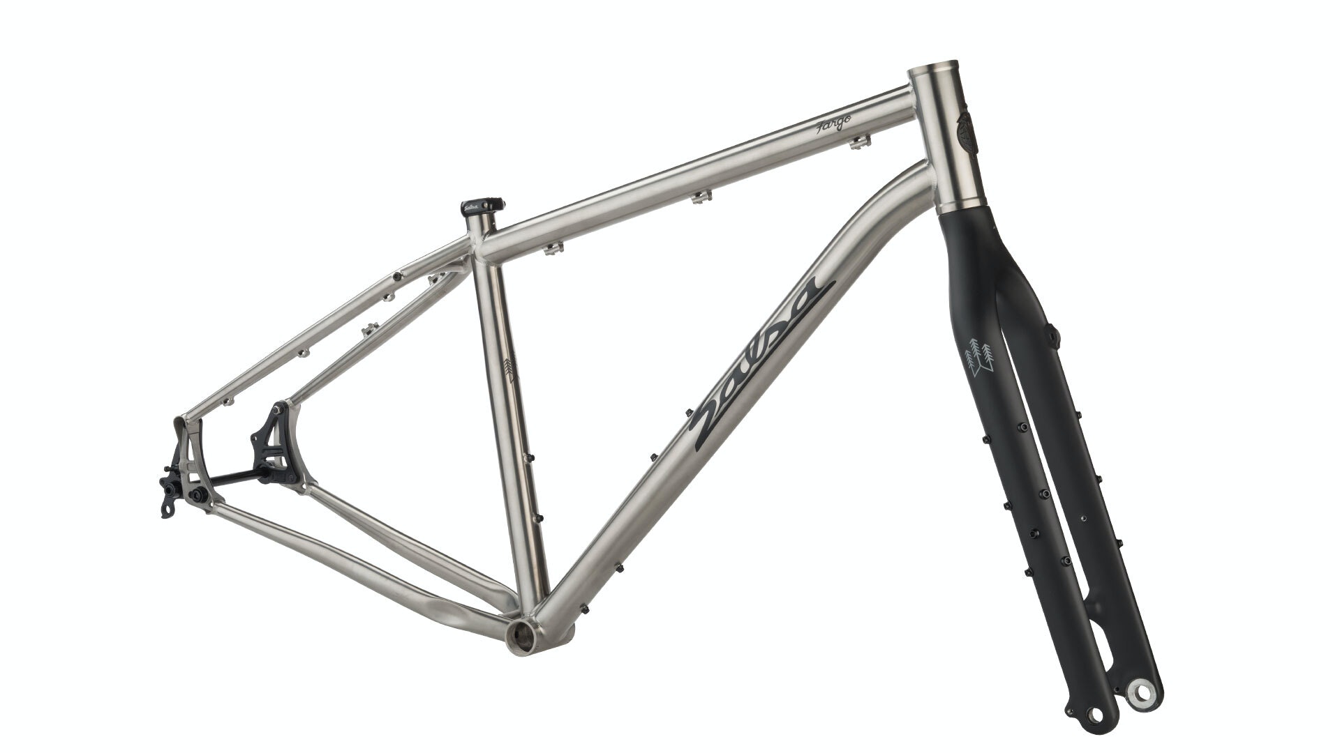 Salsa Fargo Ti Frameset 2019