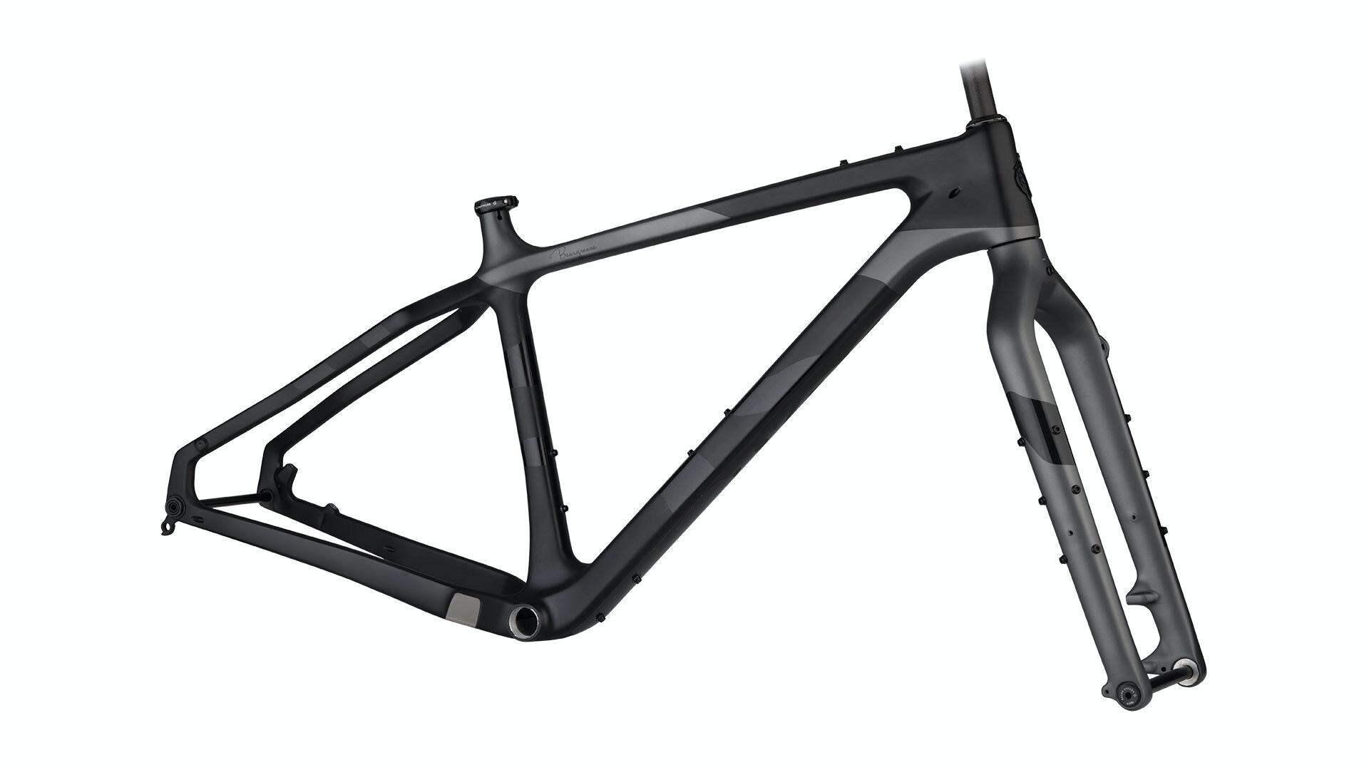 Salsa Beargrease Carbon Frameset 2019