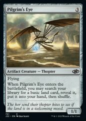 Pilgrim's Eye