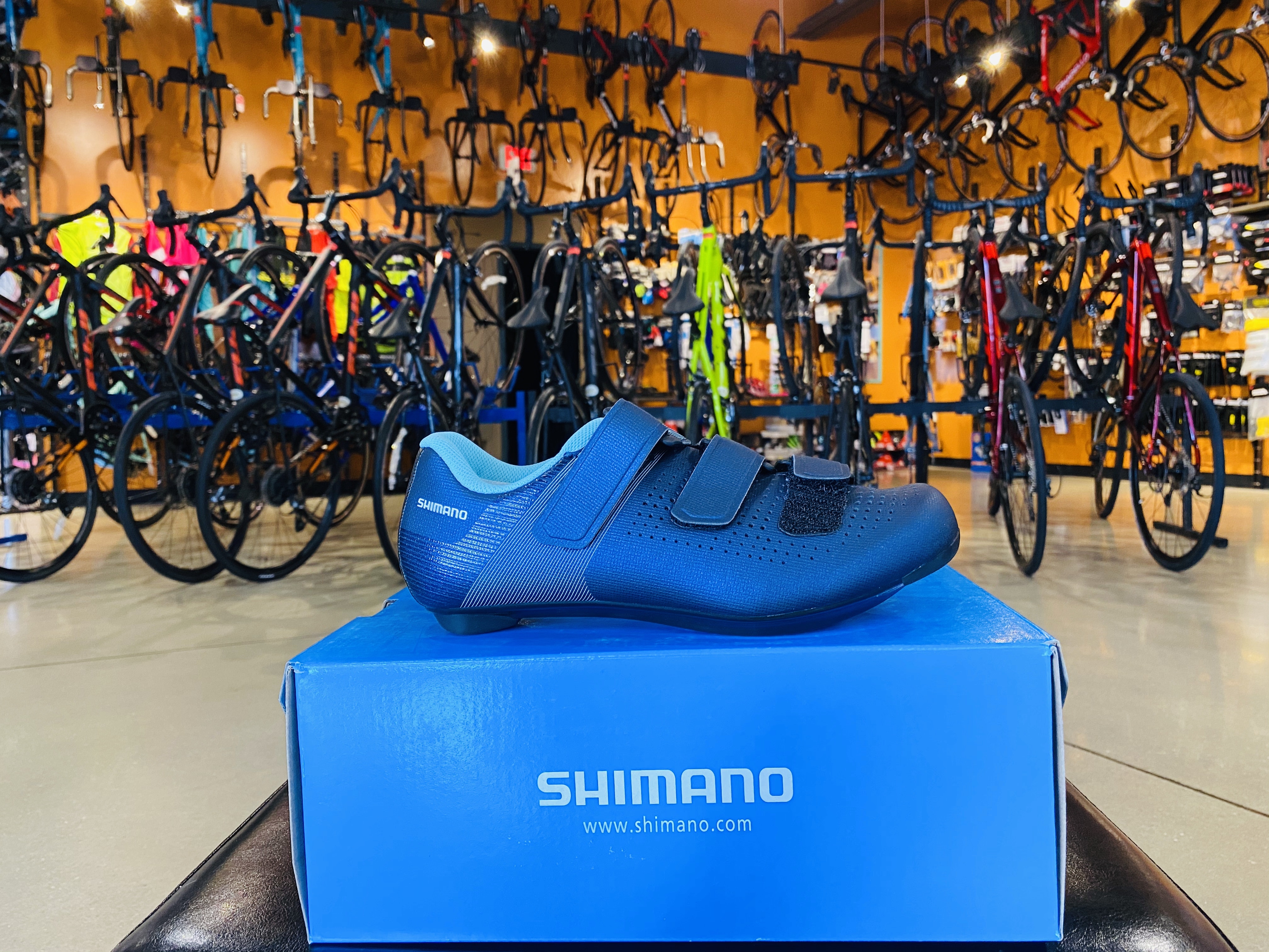 Shimano Womens SH-RC100 Shoes Navy
