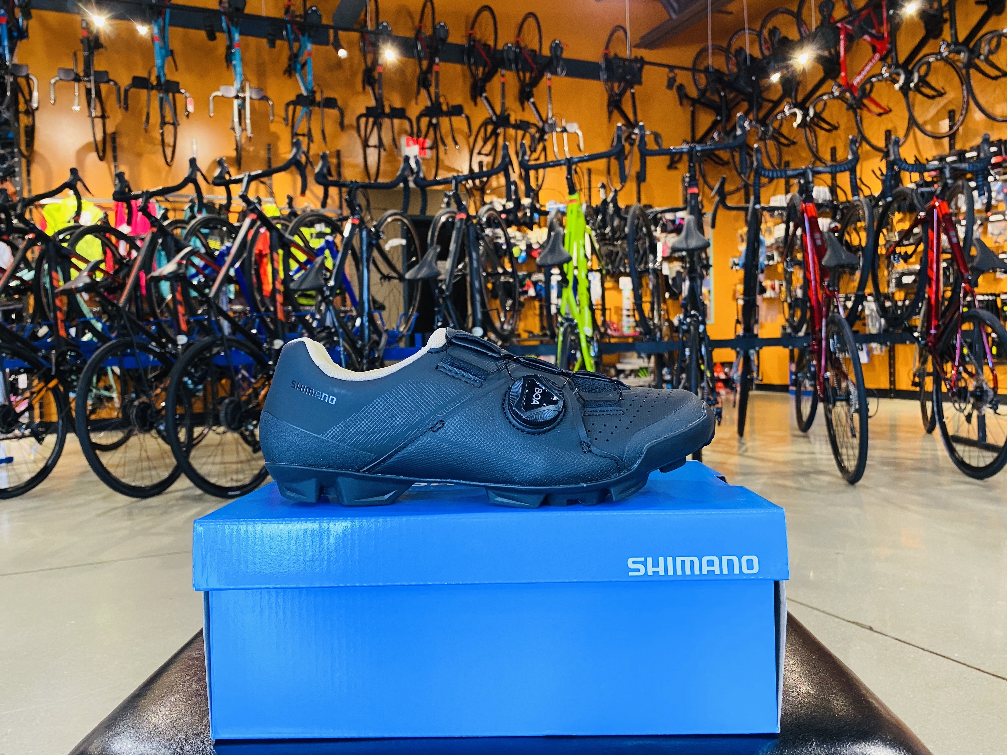 Shimano Womens SH-XC300 Shoes Black