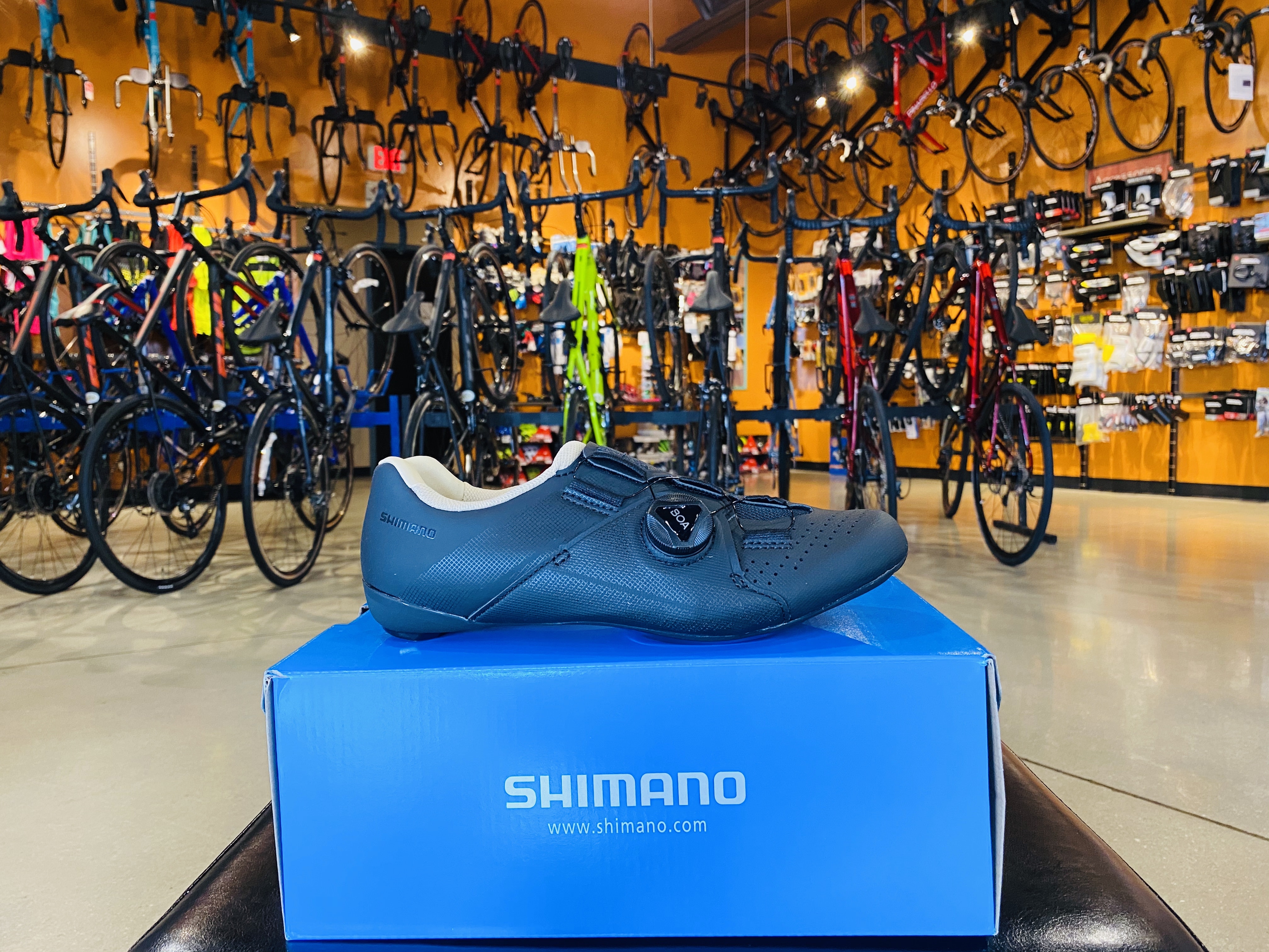 Shimano Womens SH-RC300 Shoes Black