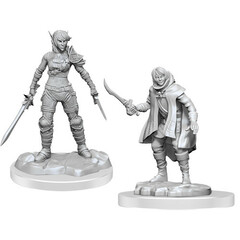 D&D Nolzur's Marvelous Miniatures: W19 Elf Rogue & Half-Elf Rogue Protege