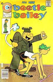 Beetle Bailey Vol. 1 114