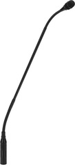 Acacia LIZ-Gooseneck 20