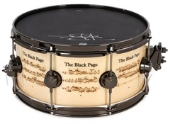 DW Terry Bozzio 