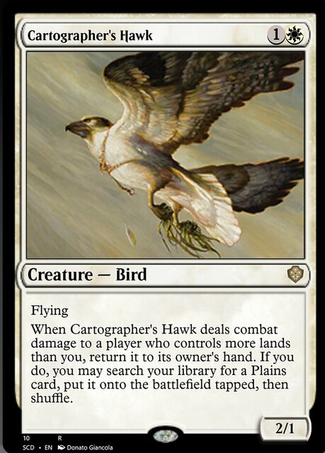 Cartographers Hawk