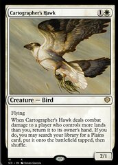 Cartographer's Hawk