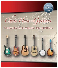 Best Service Chris Hein Guitars Virtual Guitar Instrument Collection