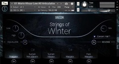 Best Service The Orchestra - Strings of Winter