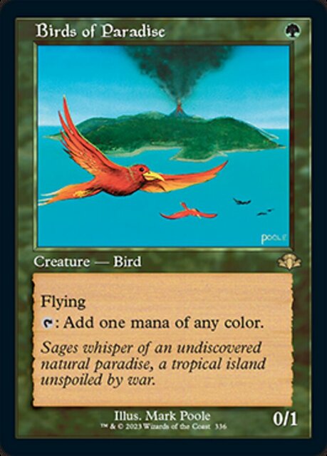 Birds of Paradise - Foil - Retro Frame