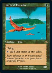 Birds of Paradise (Retro Frame) - Foil