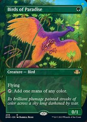 Birds of Paradise (Borderless)