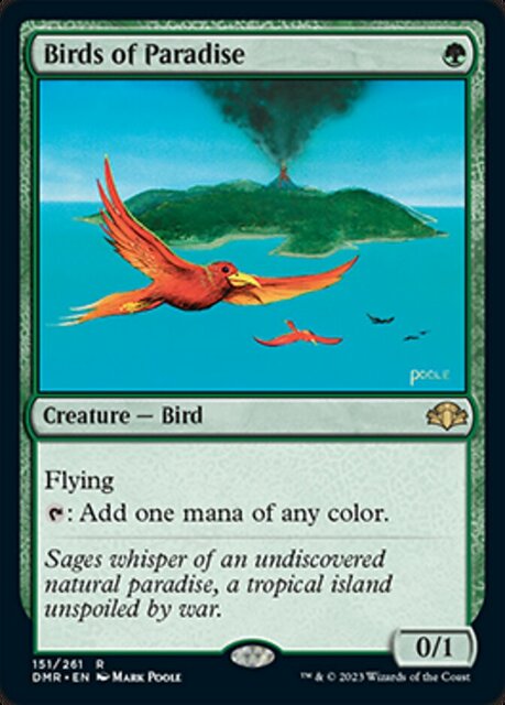 Birds of Paradise - Foil