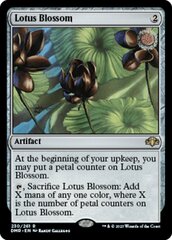 Lotus Blossom